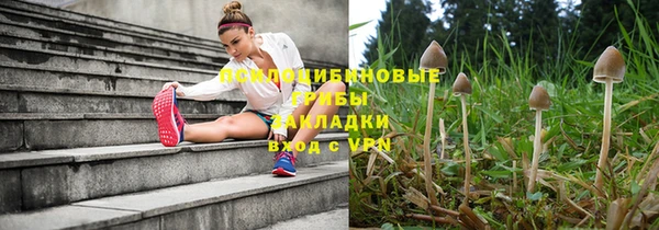 крисы Алексин