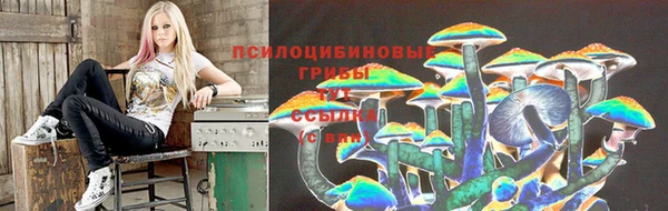 крисы Алексин