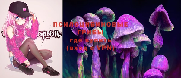 крисы Алексин