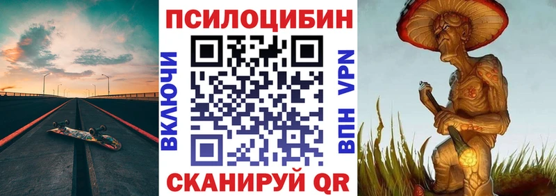 Псилоцибиновые грибы Psilocybine cubensis Хадыженск